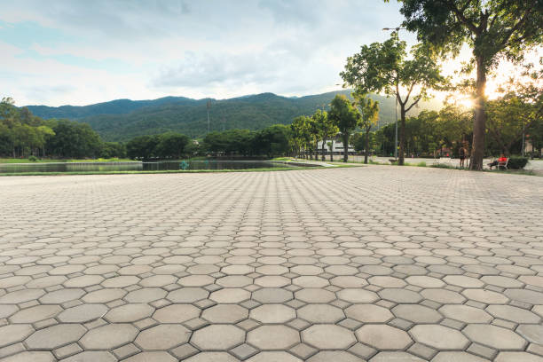 Best Driveway Paving Contractor  in East Aurora, NY