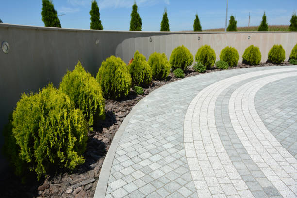 Best Driveway Paving Company  in East Aurora, NY